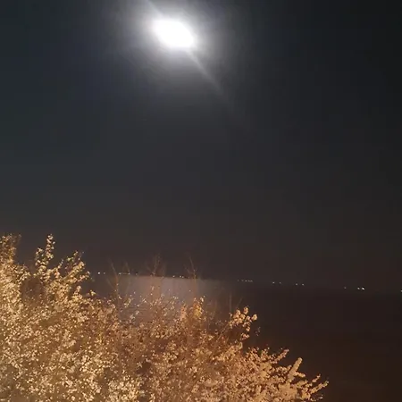 Renasterii * Constanta